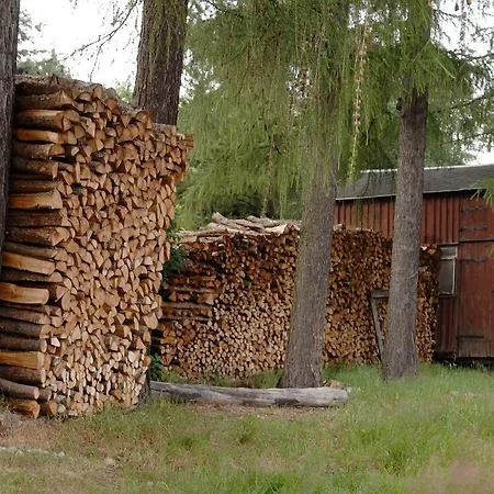 Grunes Gericht 3*